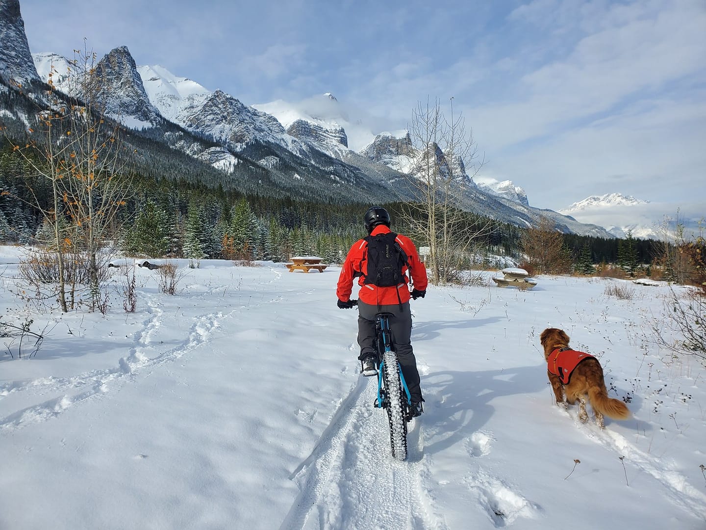 Man and dob on fat biking trails