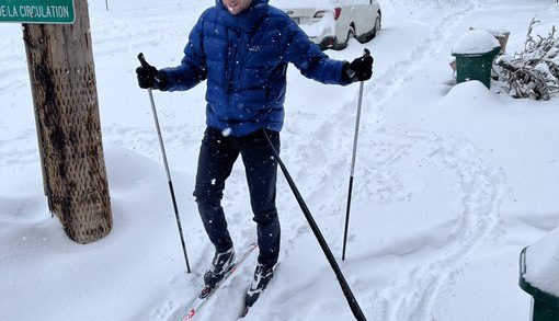 Skijoring with a dog
