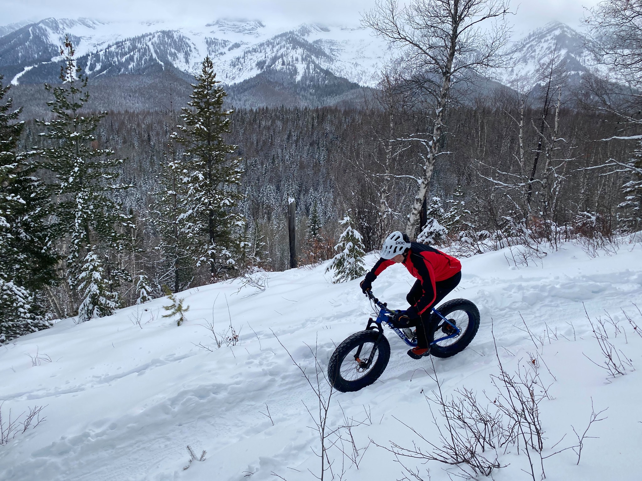 fat biking in Montane Trail