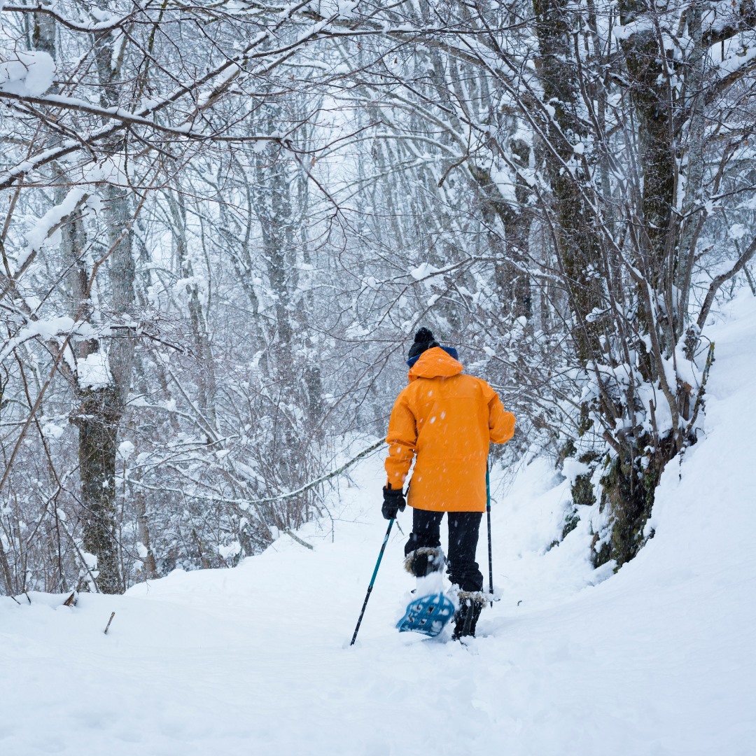 Person snowshoeing