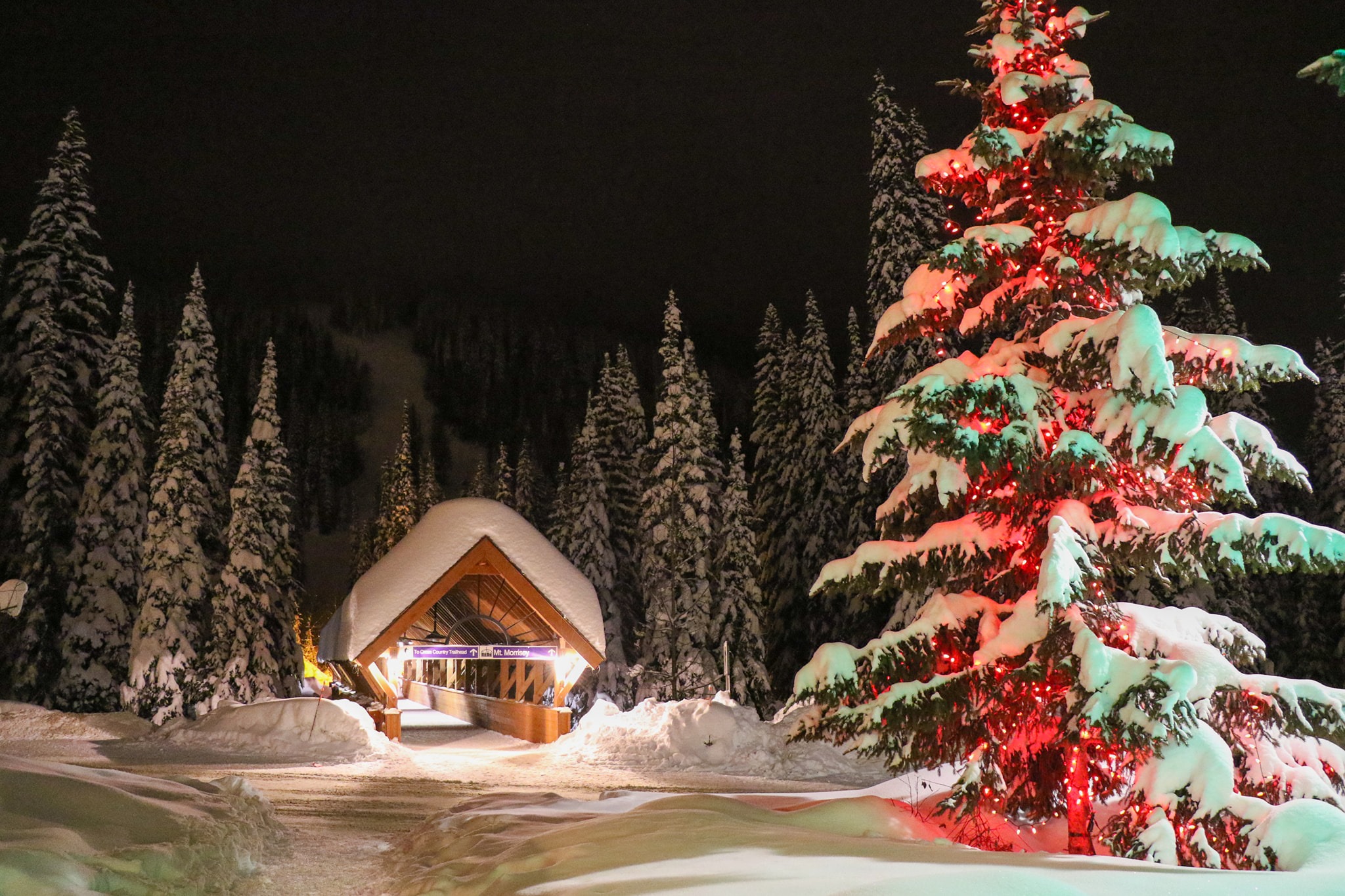 Sun Peaks Resort trail