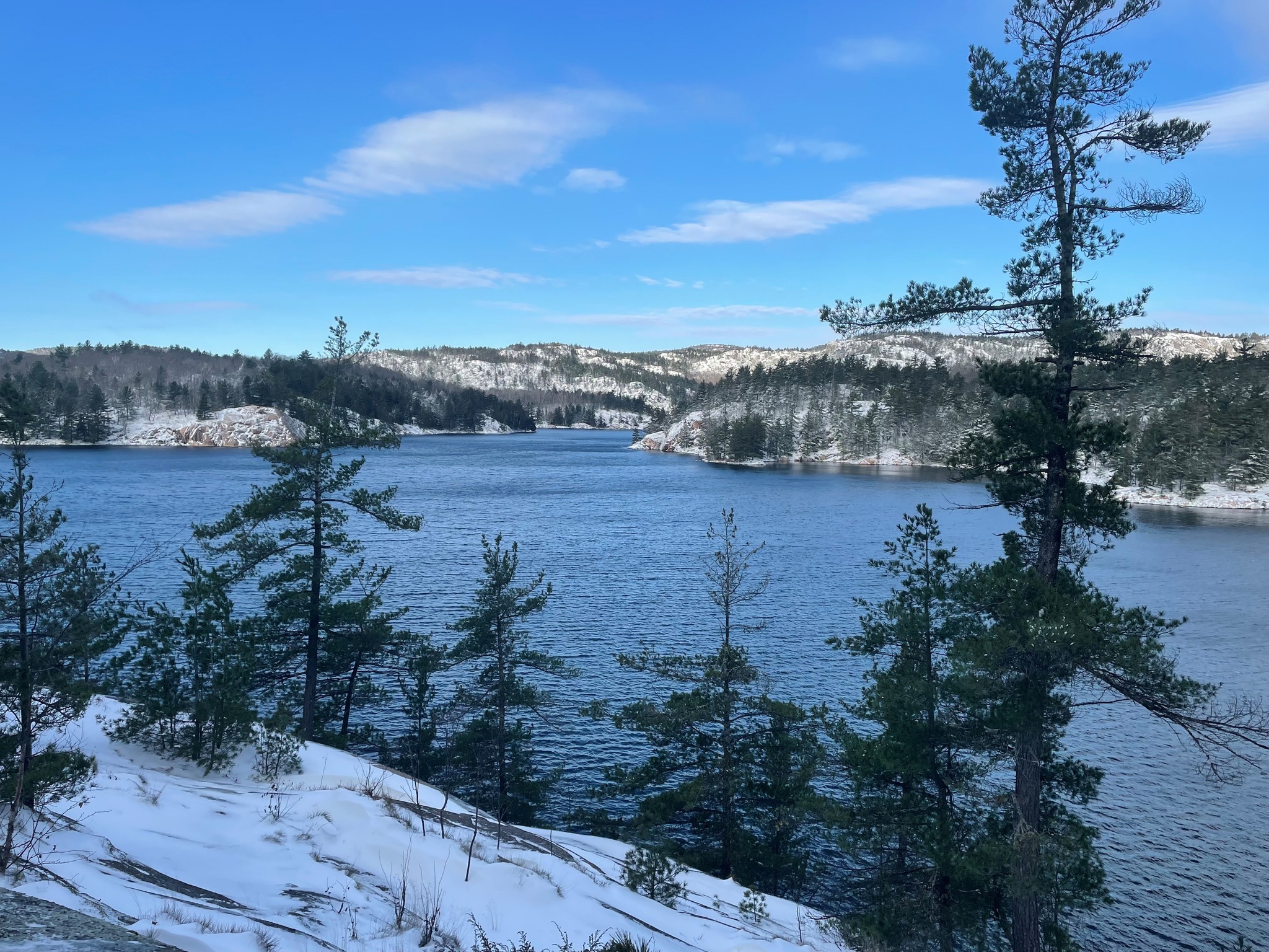 Lake and trees in winter