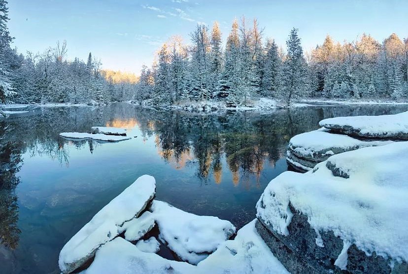 Lake and trees in winter