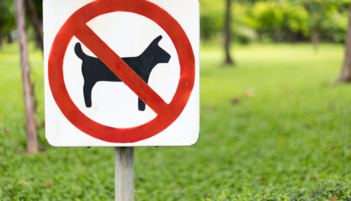 no pets allowed sign