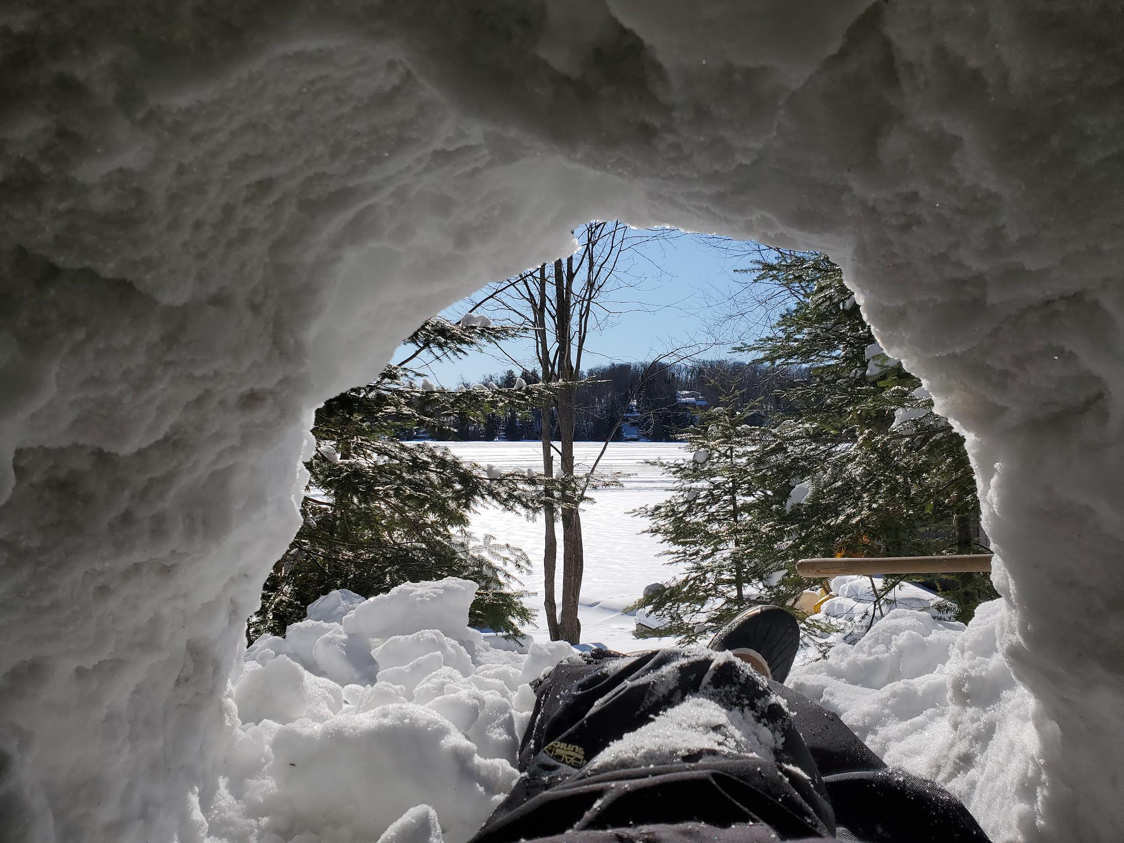Looking out the entrance of a snow fort with a view of trees and a frozen lake.