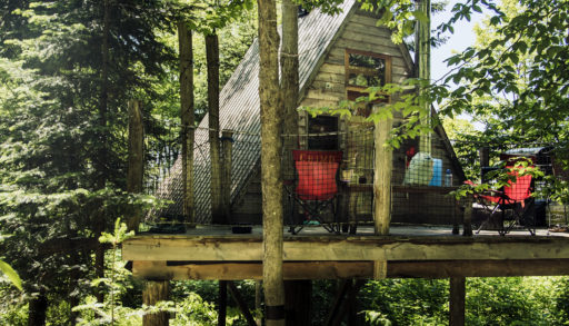 an A frame in the trees, hipcamp booking site