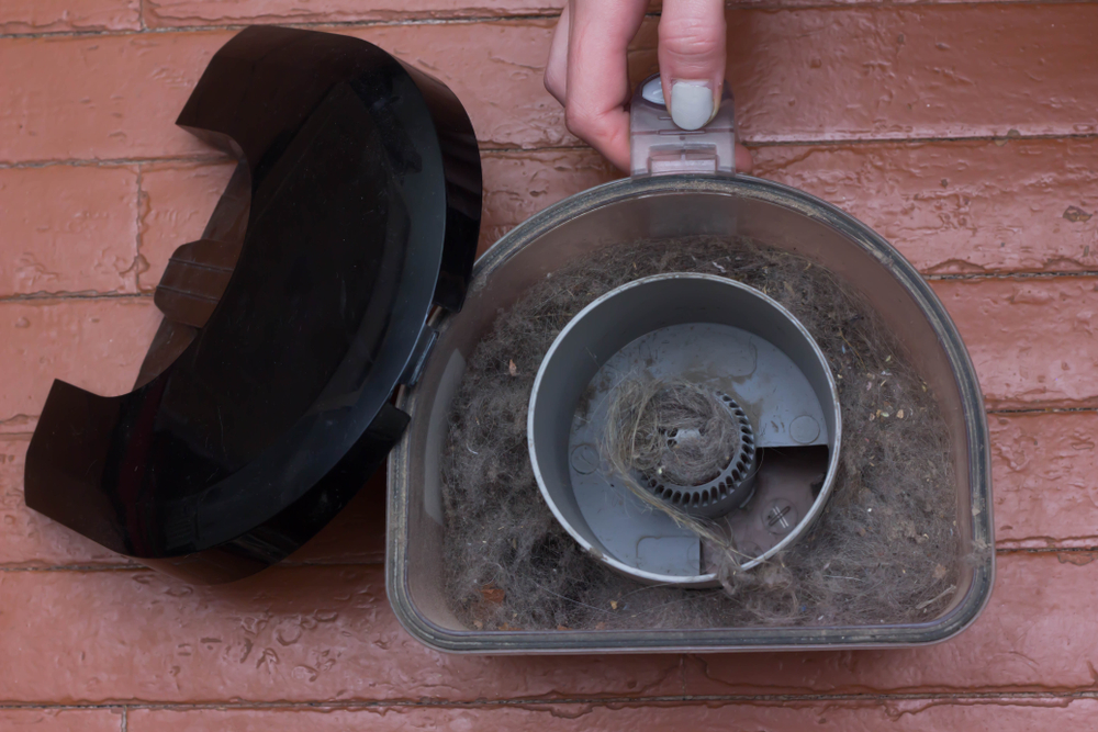 A hand holding the open dust container of a vacuum