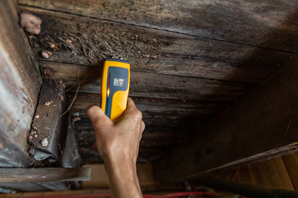 A hand using a yellow moisture meter to test a wooden wall