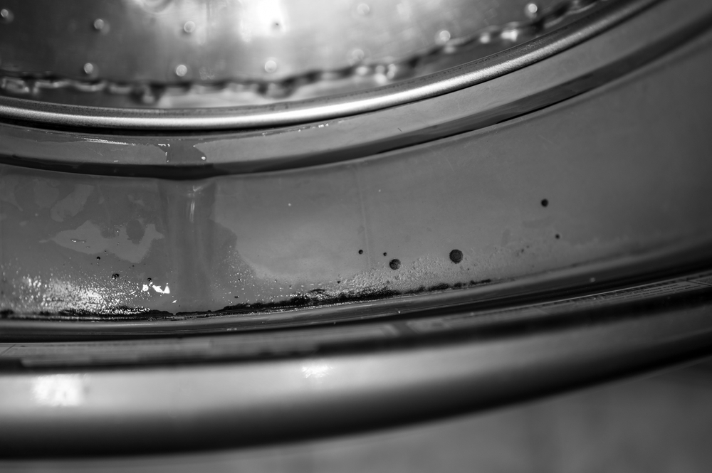 A front loading washing machine with mould growing on the door gasket