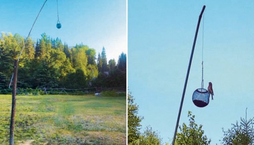 photo of Mark's bear-proof bird feeder on a post dangling
