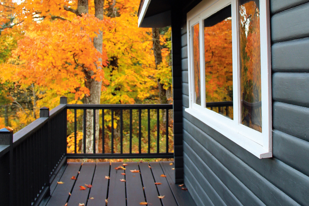 beautiful fall colours