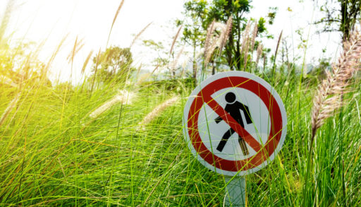 A No Trespassing sign posted in weedy grass