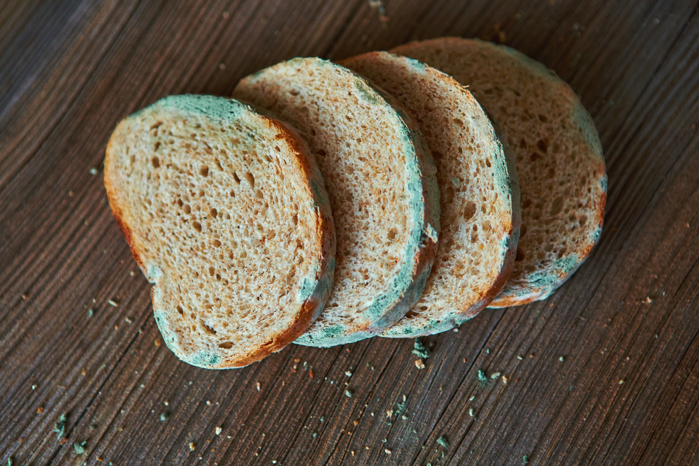 slices of mouldy bread