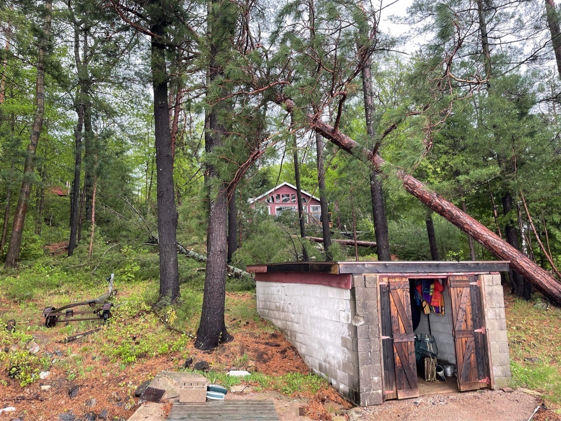 A tall fallen red pine tree leans against a boat shed. A cottage is unharmed in the background.