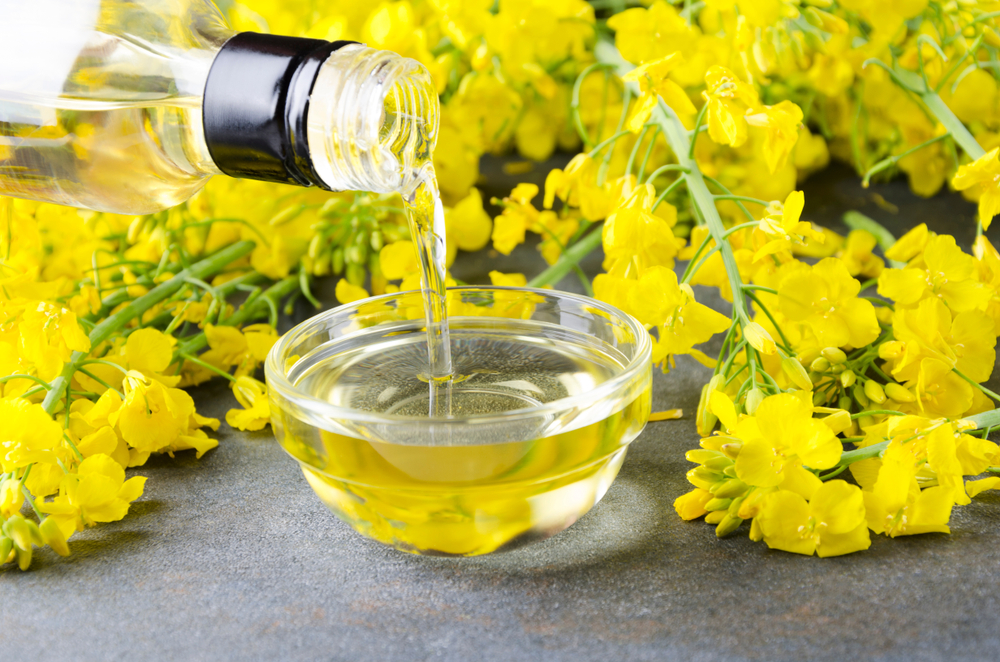Canola oil being poured into a dish, surrounded by rapeseed flowers