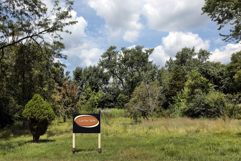 A vacant lot with a sign that says Lot for Sale