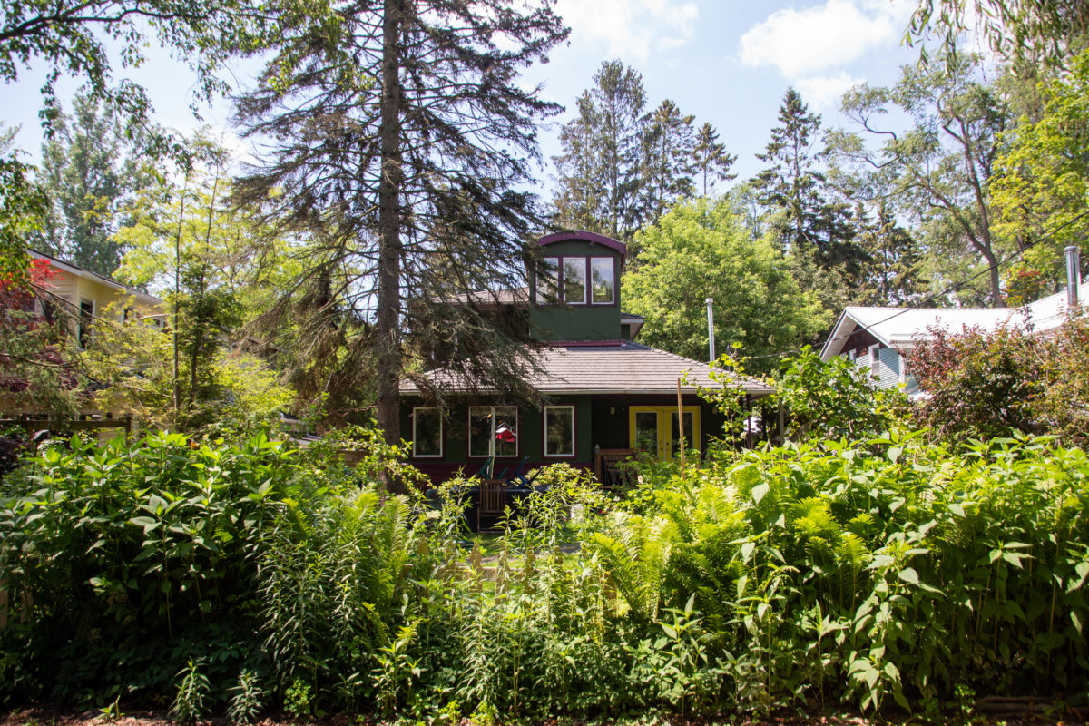 Smiley's B&B surrounded by trees and overgrown bushes.