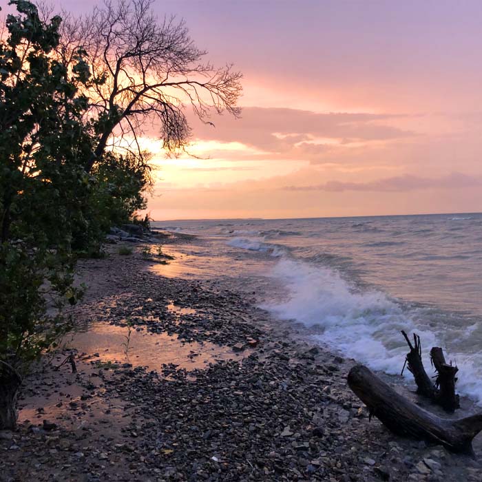 a purple sky sunset over the shore of lake erie, with driftwood