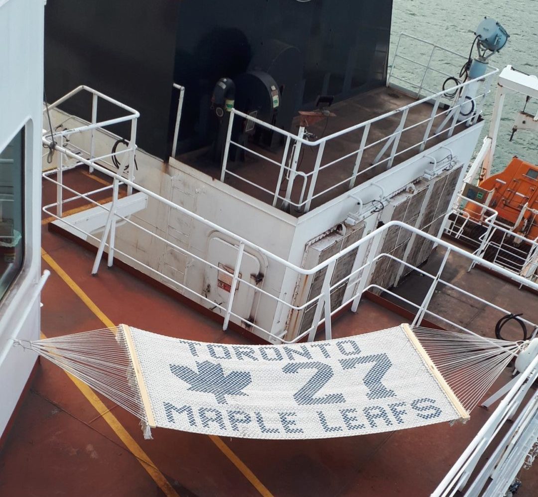 Birds eye view of Toronto Maple Leafs Hammock