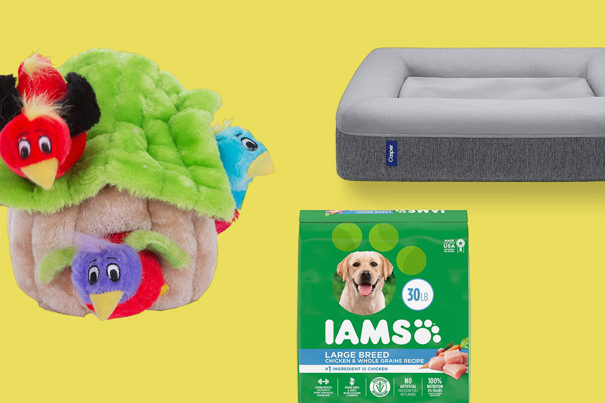 Amazon Prime Day dog accessories on sale