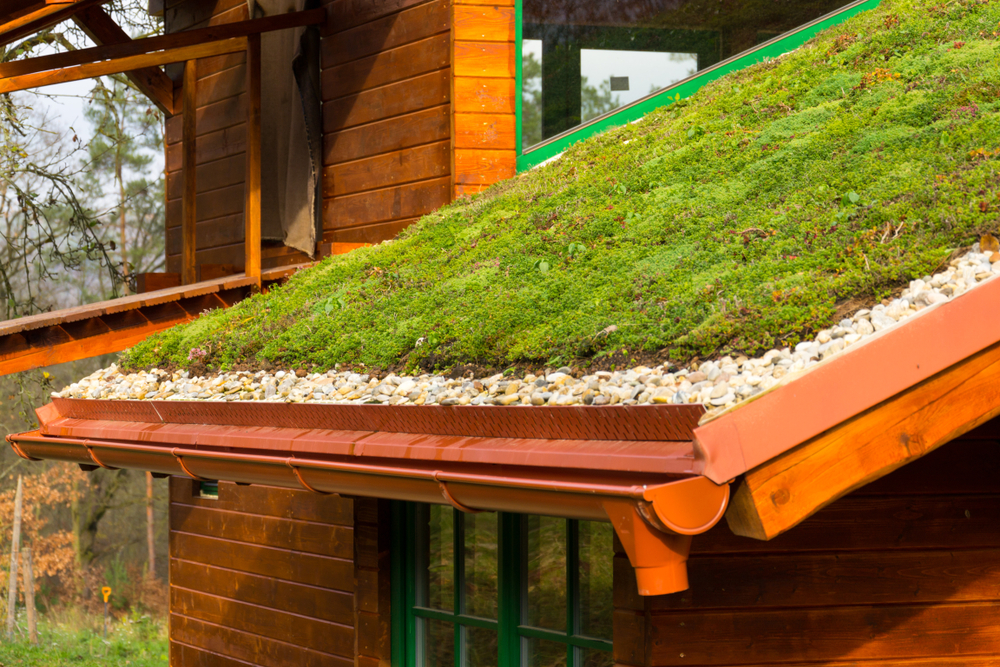A wooden house with a green roof