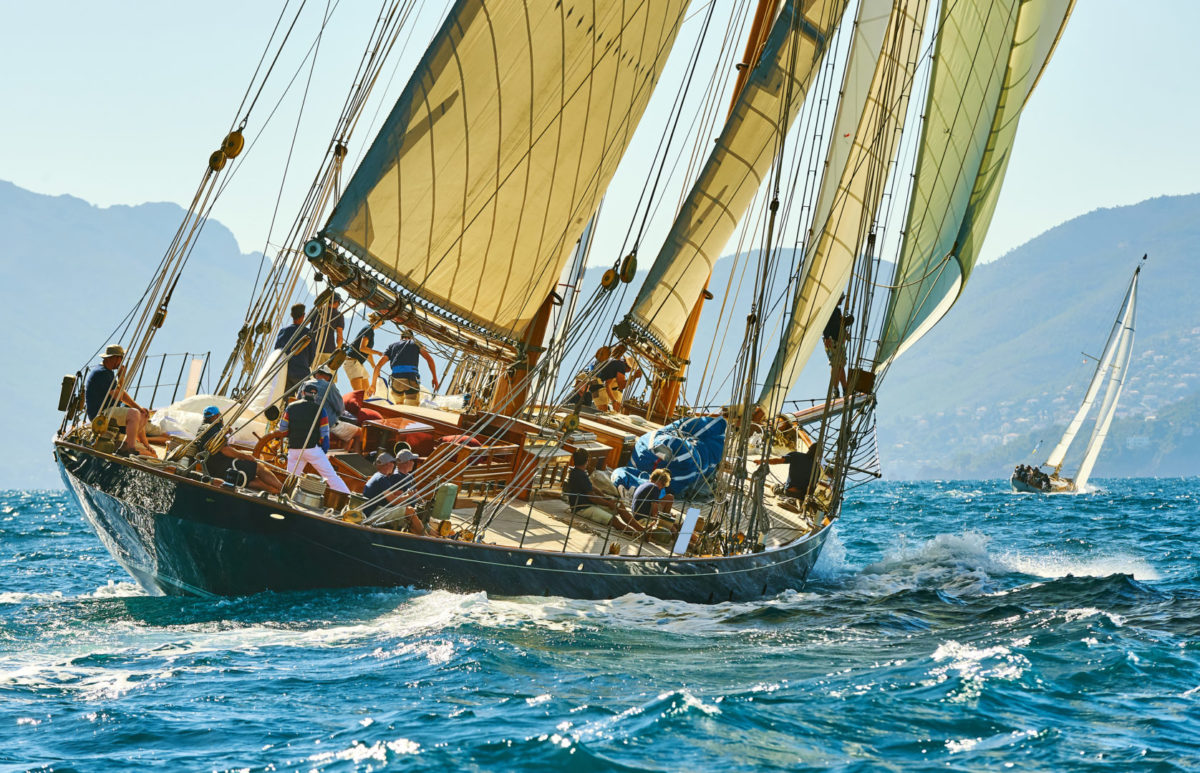 Sailing yacht under full sail at the regatta.