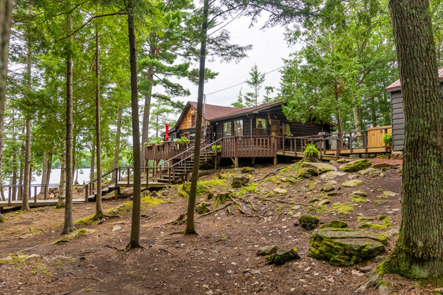 exterior of a brown cottage up a set of stairs hidden in the trees