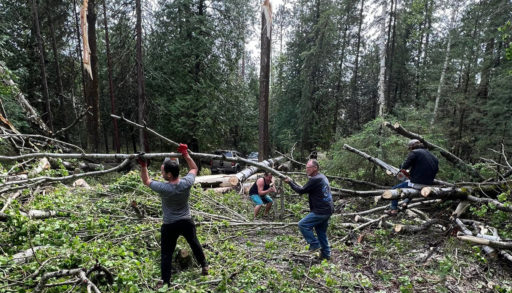 Jack Lake cottagers come together as a community and help each other with cleanup efforts from the May 21 storm.