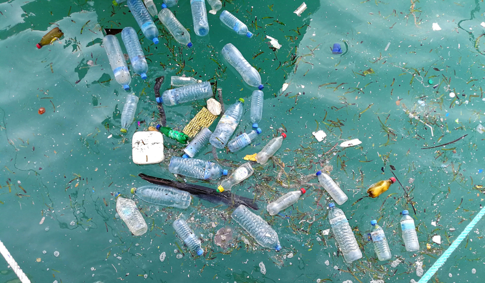 Plastic in the Water