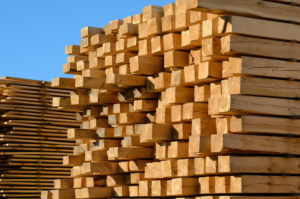 Piles of cut wood
