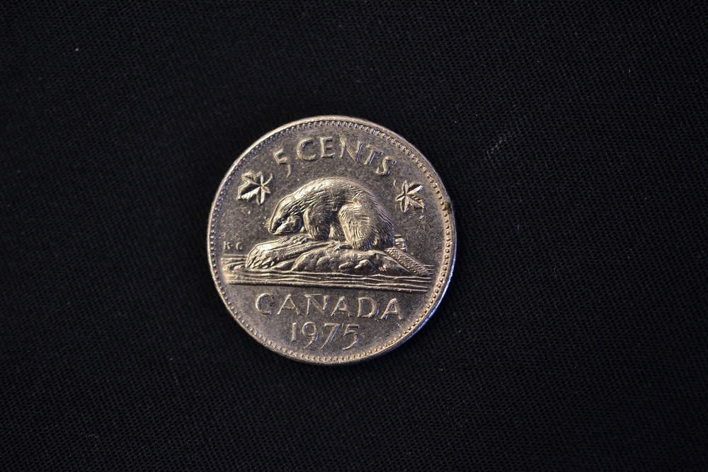 A Canadian nickel against a black background
