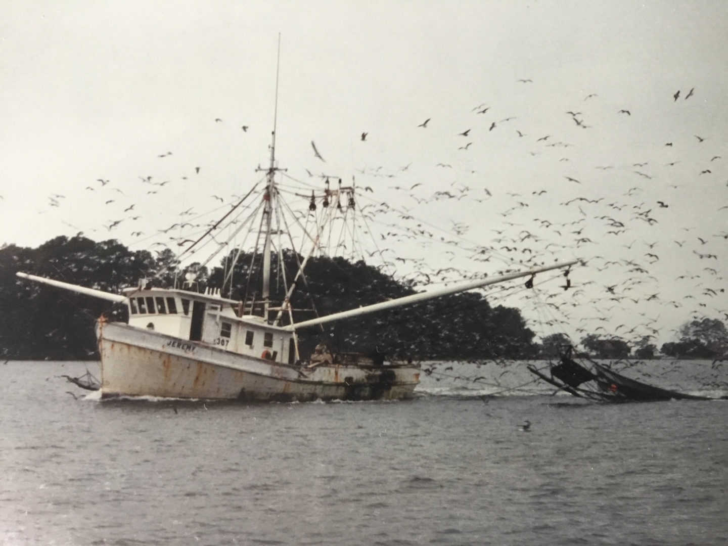 A sailboat sits in a harbour, early morning fishing for shrimp