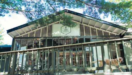 the exterior of The Hive store