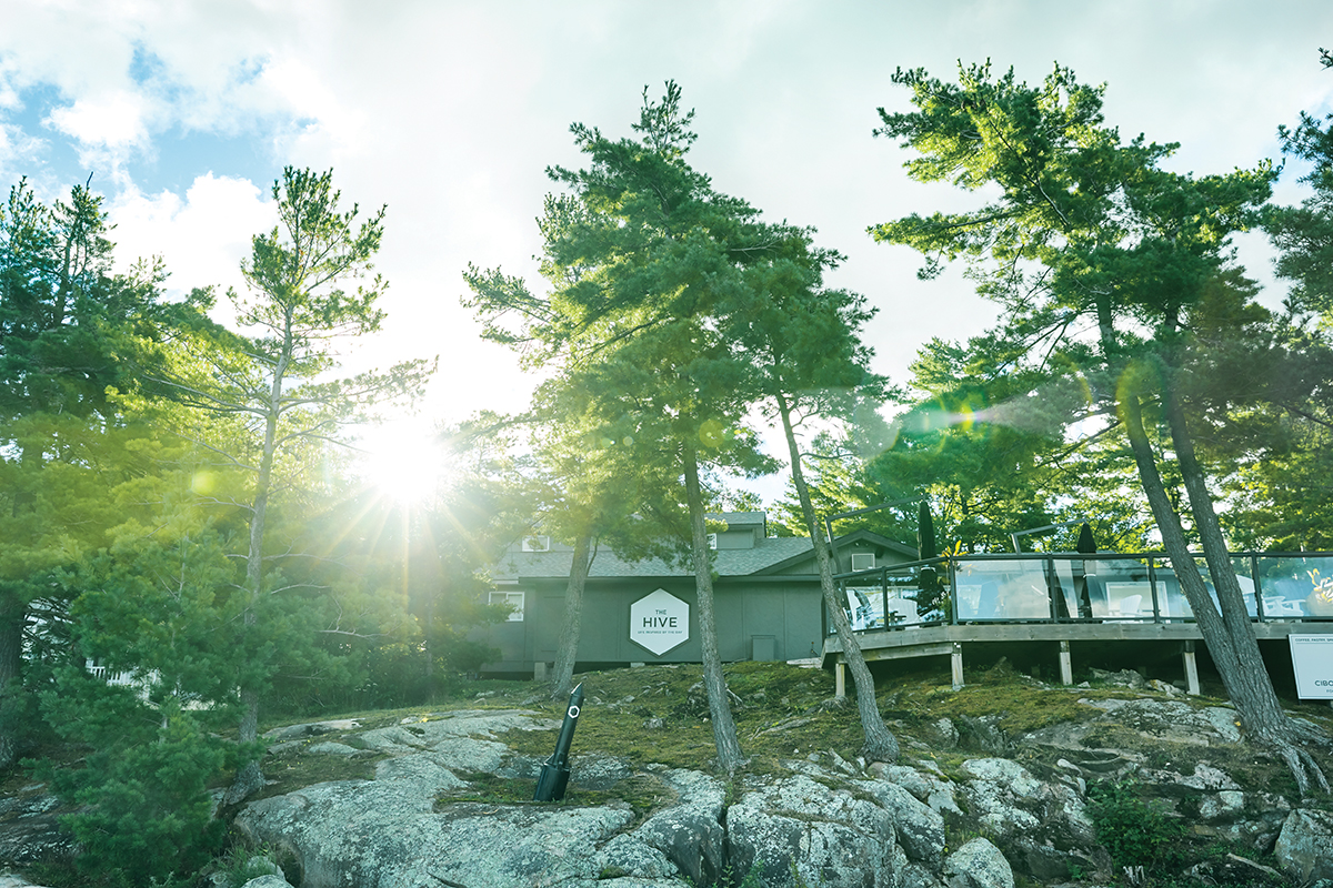 The Hive as seen from the dock at the lake with the sun shining through the trees