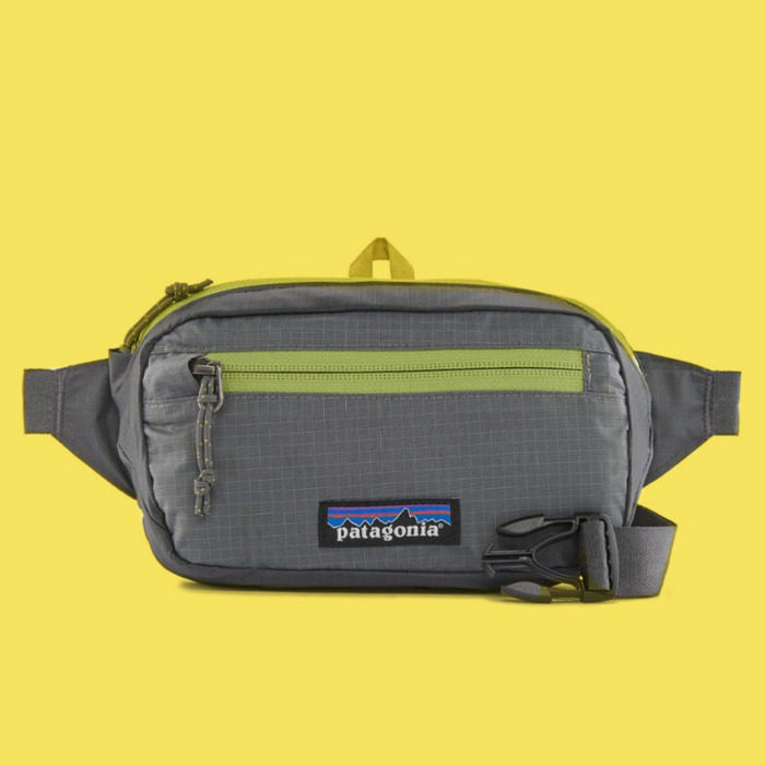 Fanny pack from Patagonia