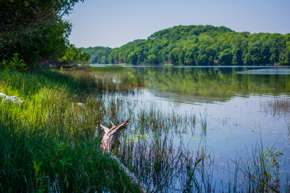 Lake Shoreline