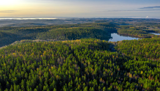 Aerial view of crown land