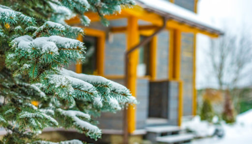 A snow-covered cabin with a pine tree in the foreground