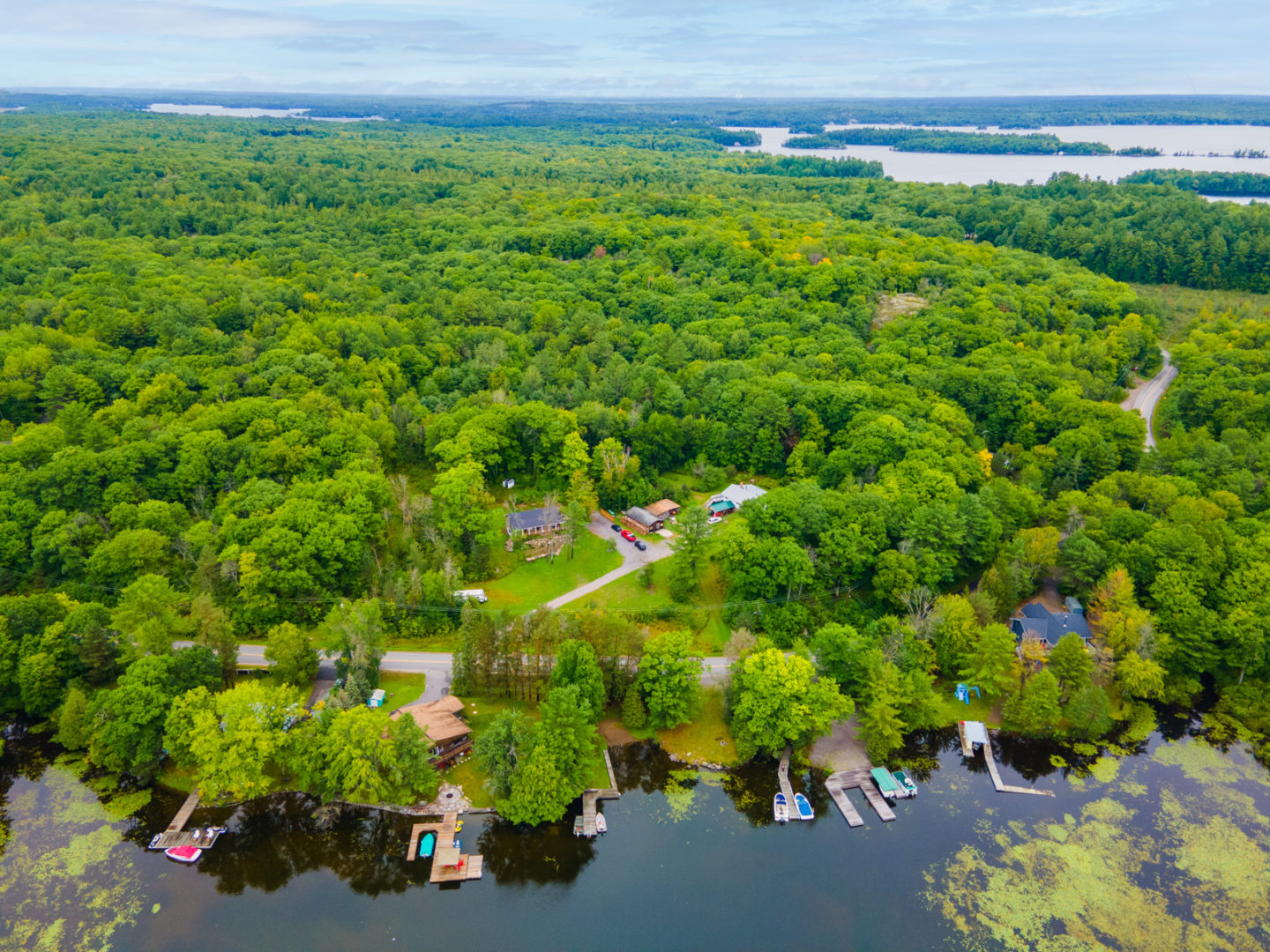 Overhead view of a small bay on a lake, with cottages along the shore and trees in behind.