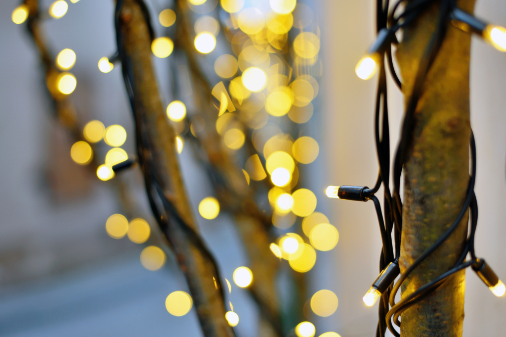 Christmas lights against a blurry background