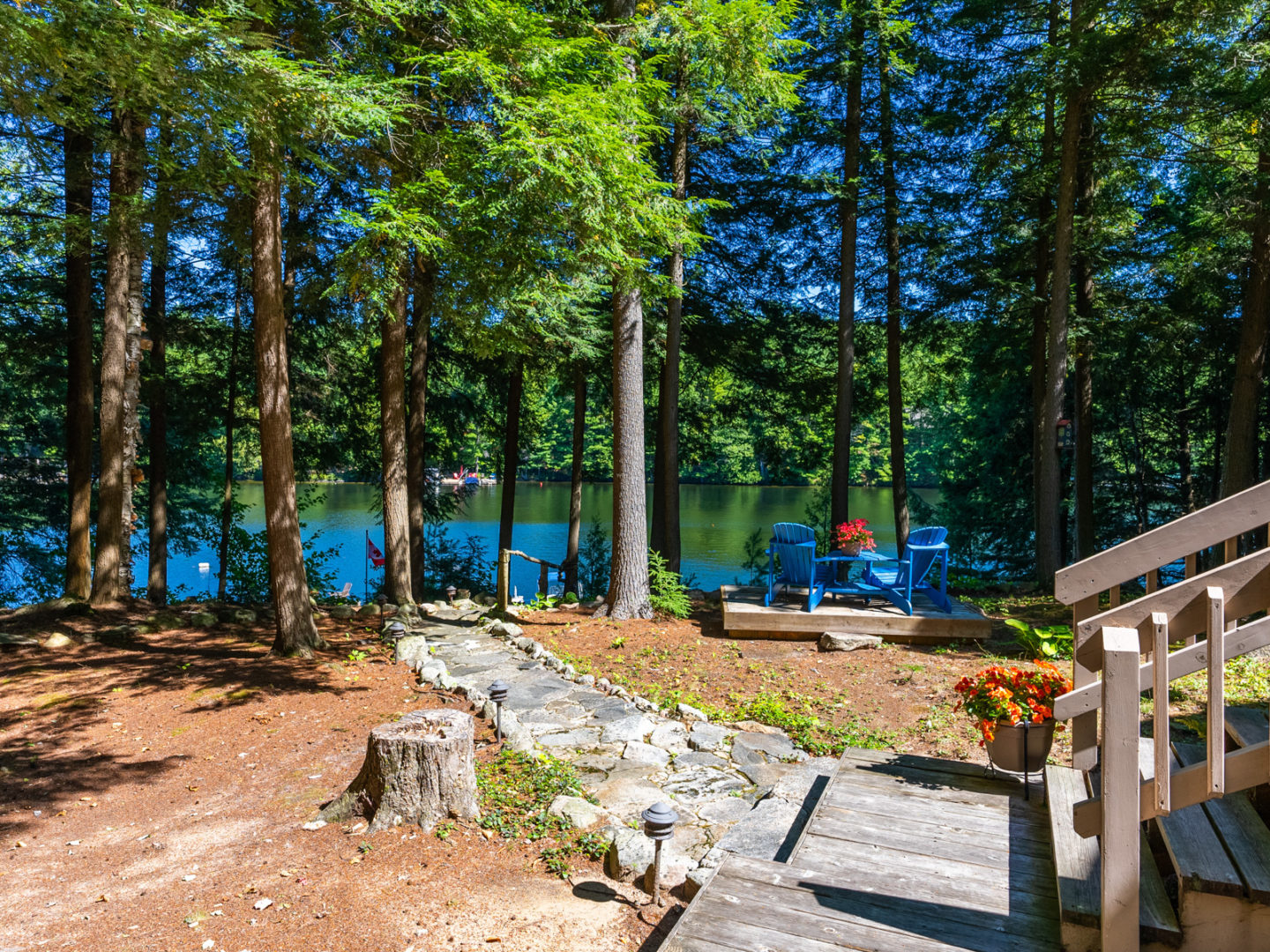 A sloping outdoor area with lots of trees leading down to a waterfront, with wooden decking creating a pathway down.
