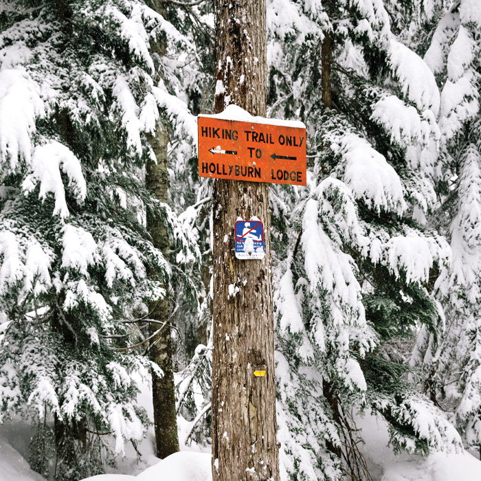 A sign posted on a tree, indicating Hollyburn Lodge
