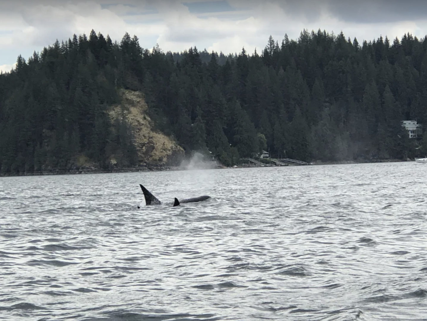 seaside cottage north vancouver indian arm