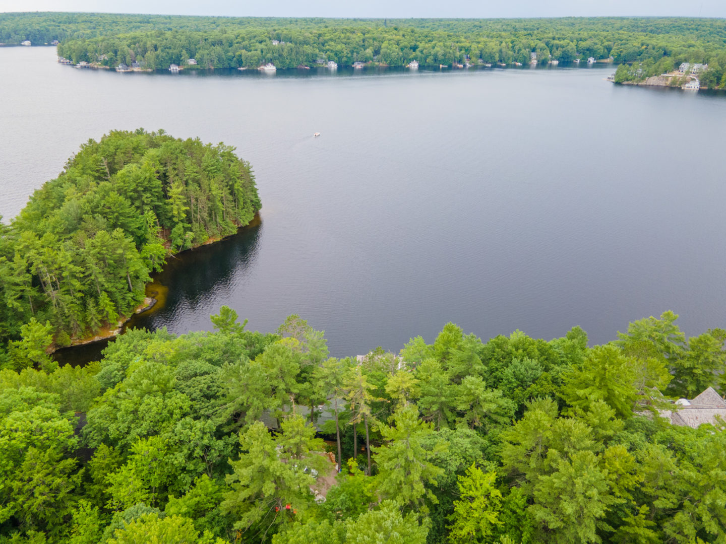 A quiet section of lake with lush trees along the shoreline.
