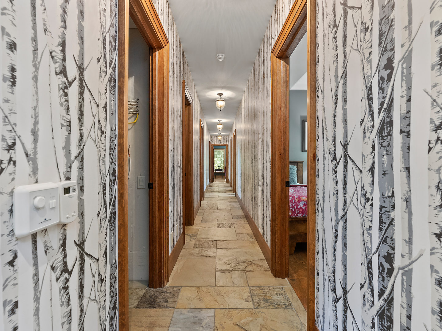 A narrow hallway with birch tree-print wallpaper and several wood-trimmed doorways.