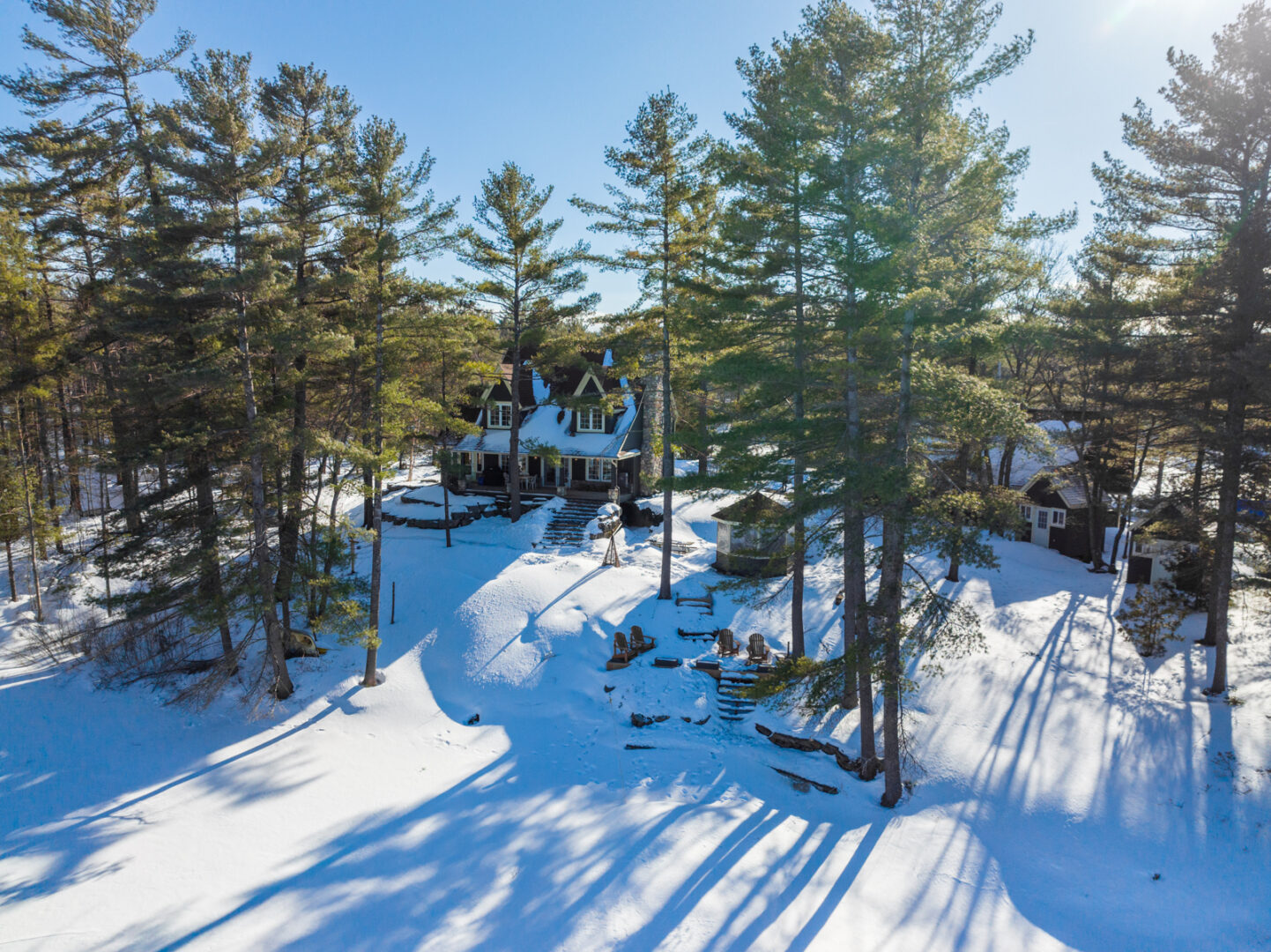 A sloping waterfront property with a large cottage surrounded by evergreen trees.