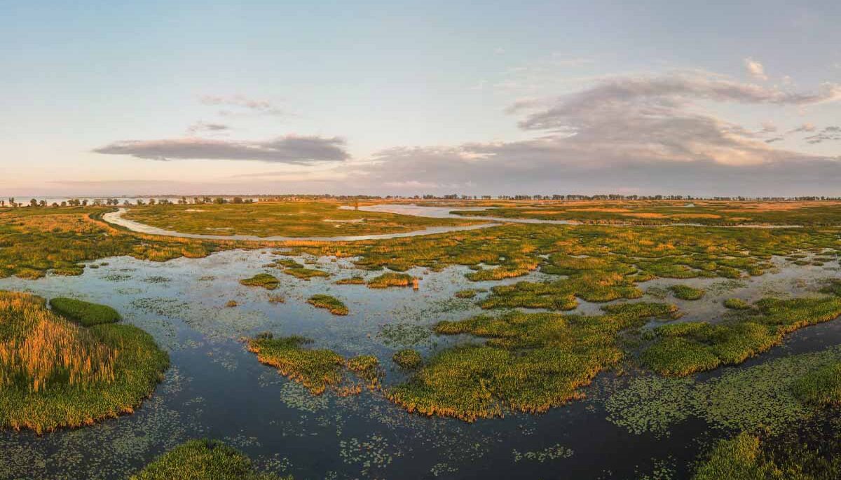 Aerial panoramic sunset sunrise scene at swamps and wetlands of Big Creek National Wildlife Area near Long Point Provincial Park, Lake Erie shore.