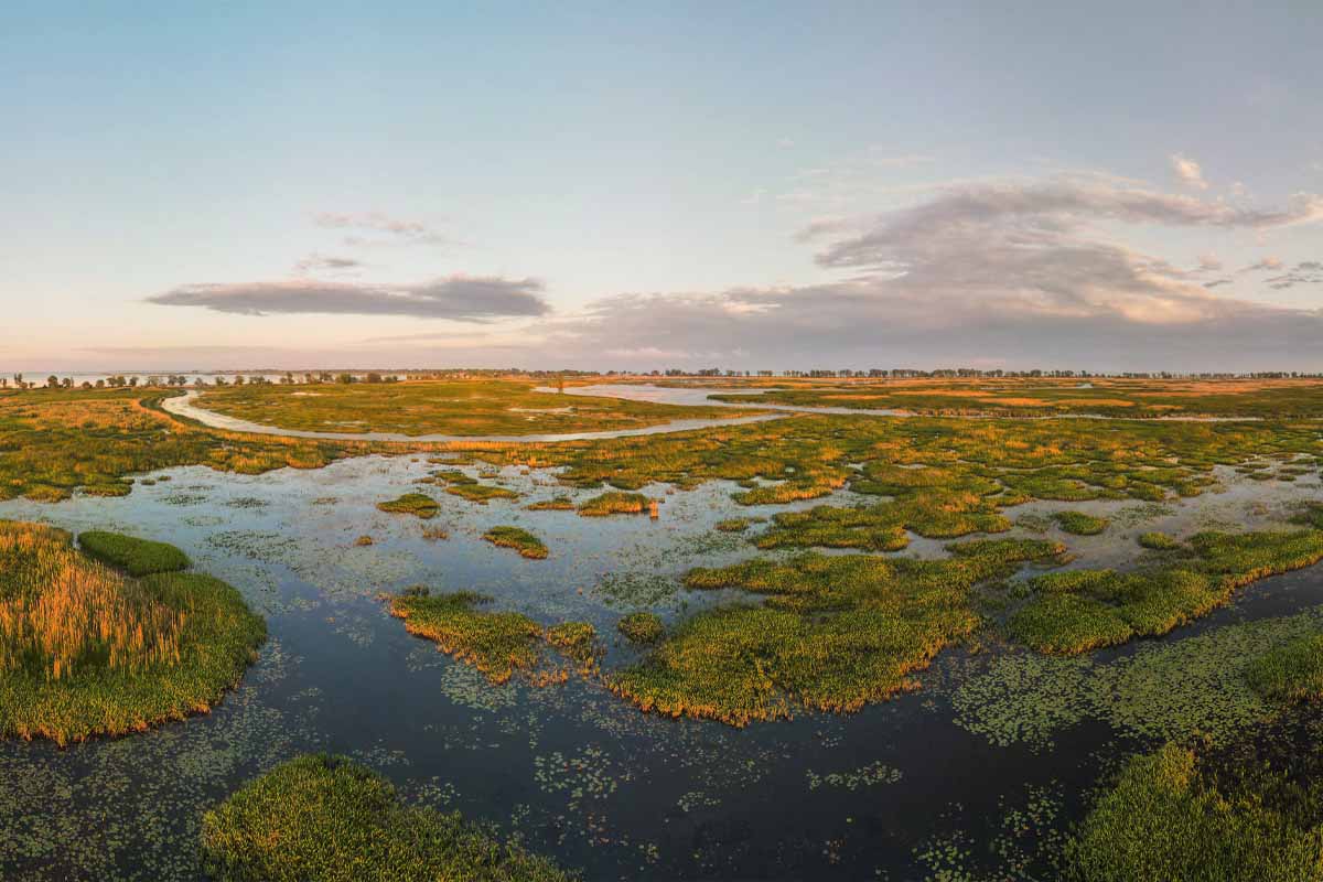 Aerial panoramic sunset sunrise scene at swamps and wetlands of Big Creek National Wildlife Area near Long Point Provincial Park, Lake Erie shore.