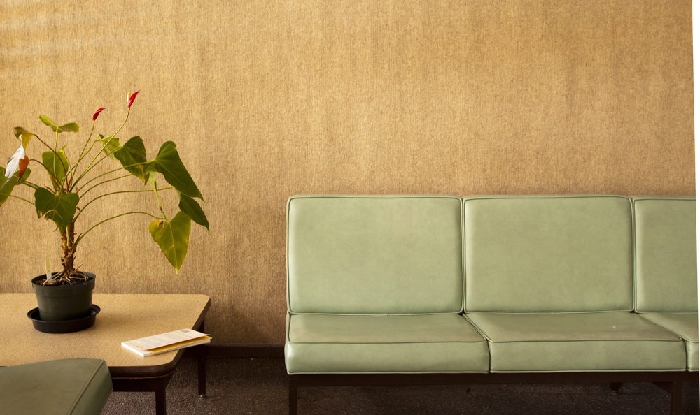 Room with vinyl chairs, potted plant, and a book on a table