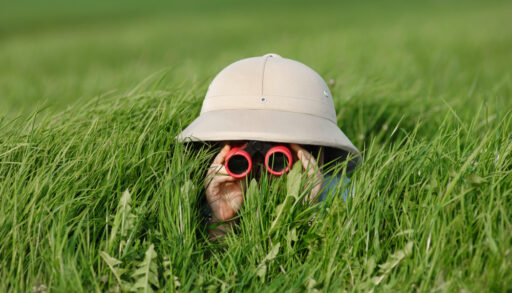 Boy looking through tall grass with binoculars